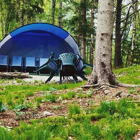 Camping Vodenca Campo de lujo *